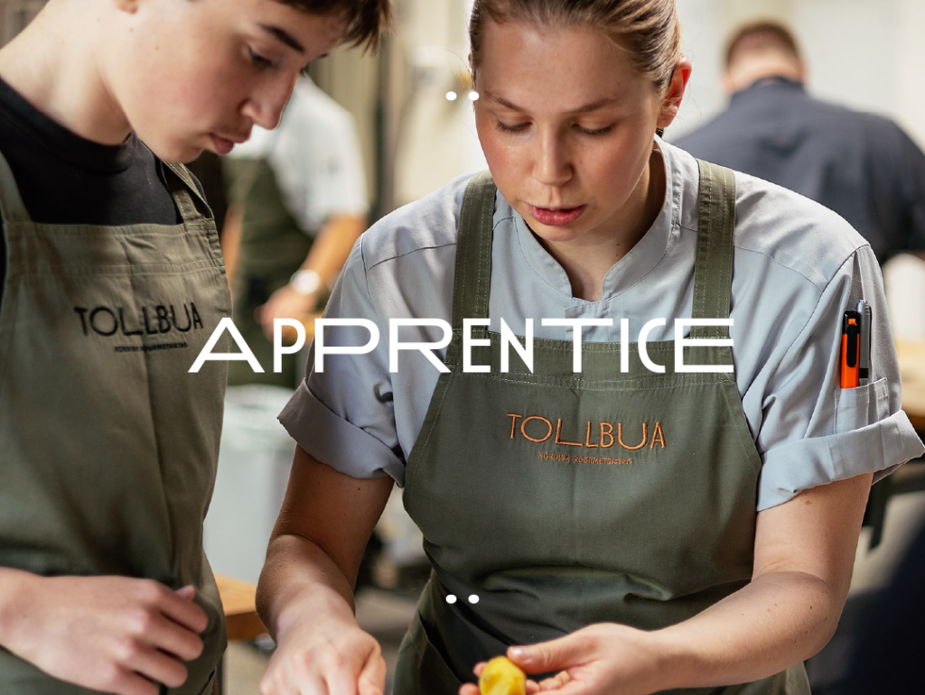 Apprenticeships at Tollbua