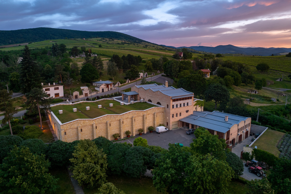 Oremus Botrytis - hosts of a winemaker's dinner at Tollbua in Trondheim