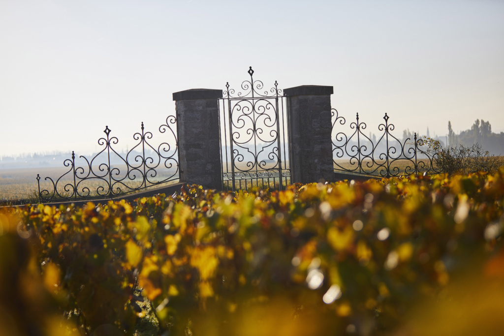 Winemaker’s Dinner with Burgundy producer Bouchard, at Tollbua restaurant in Trondheim – Thursday 23rd October 2025