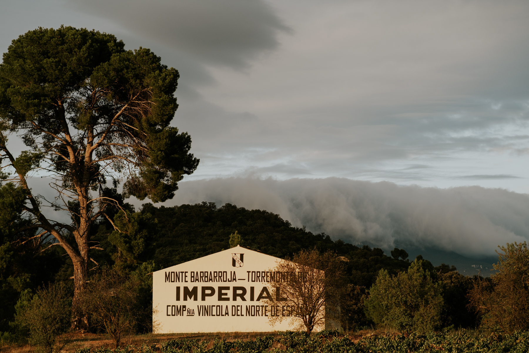 CUNE winemaker's dinner at Tollbua